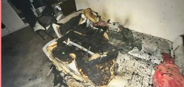 Фото ГУ МЧС России по Пензенской области