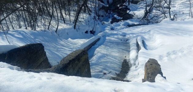 Фото с сайта министерства лесного, охотничьего хозяйства и природопользования Пензенской области