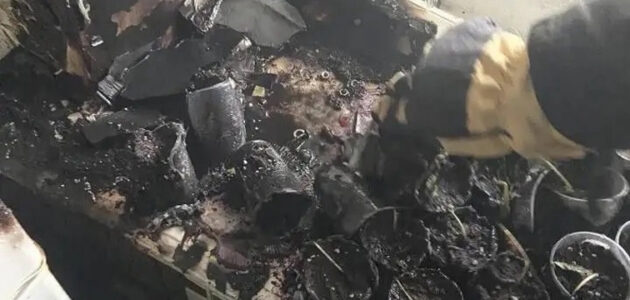 Фото ГУ МЧС России по Пензенской области