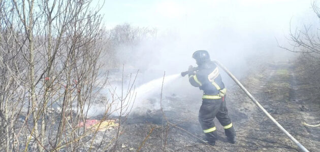 Фото из ГБУ «Пензенский пожарно-спасательный центр»