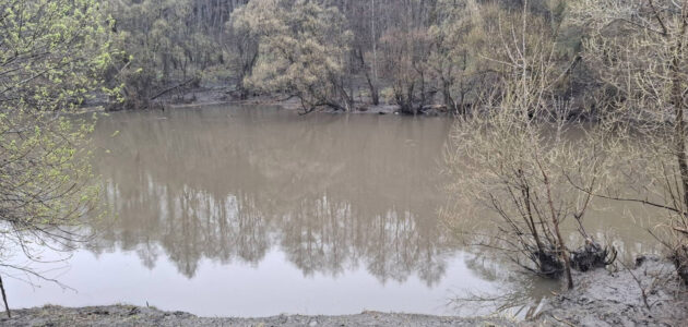 Фото из ГБУ «Пензенский пожарно-спасательный центр».