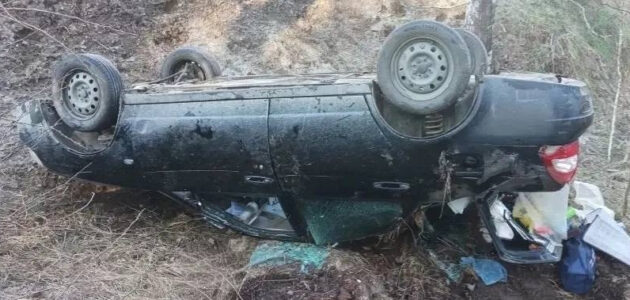 Фото Госавтоинспекции Пензенской области