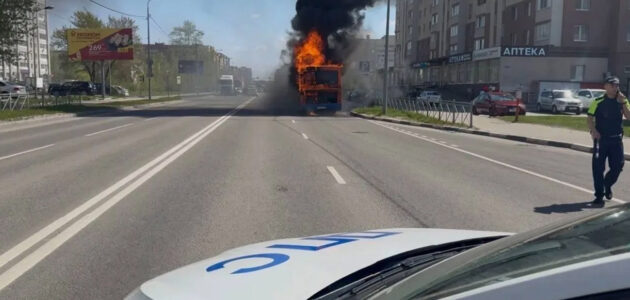 Фото Госавтоинспекции Пензенской области