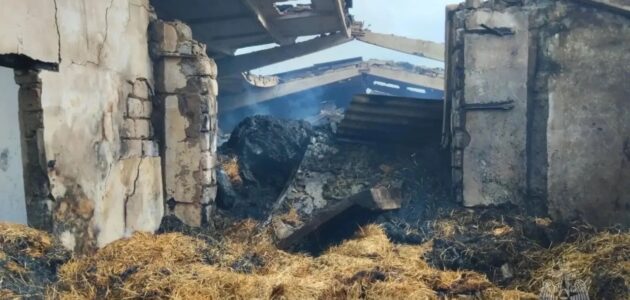 Фото МЧС России по Пензенской области